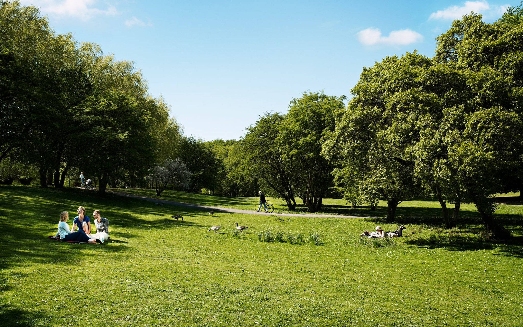 Malmö park med grönska och människor ligger på gräsmattan i solen
