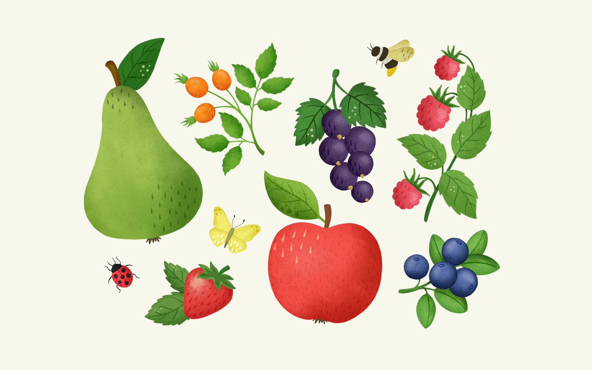 Illustrerad bild på frukt och bär för Kiviks musteri